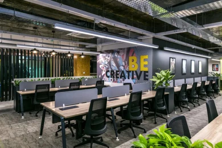 WorkSpace Options